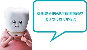 薬用成分IPMPが歯周病菌をよせつけなくするよ