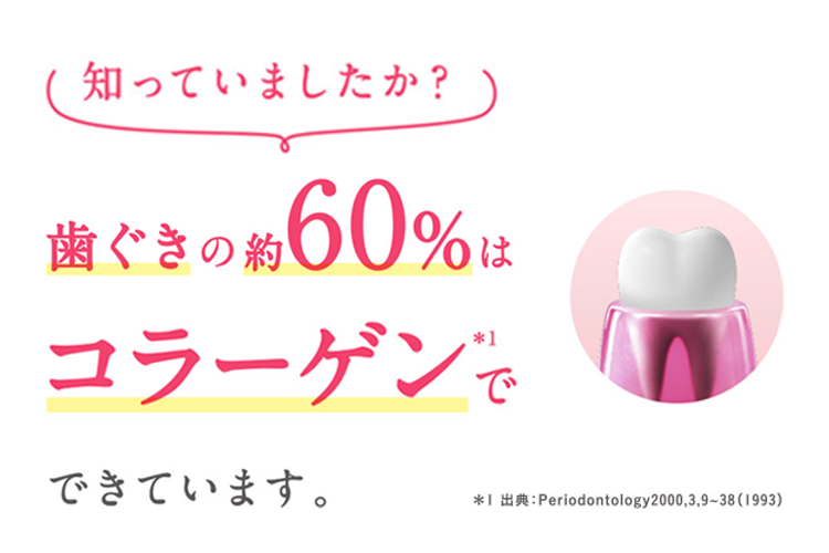 知っていましたか？ 歯ぐきの約60%はコラーゲン*1でできています。 *1 出典：Periodontology2000,3,9～38（1993）